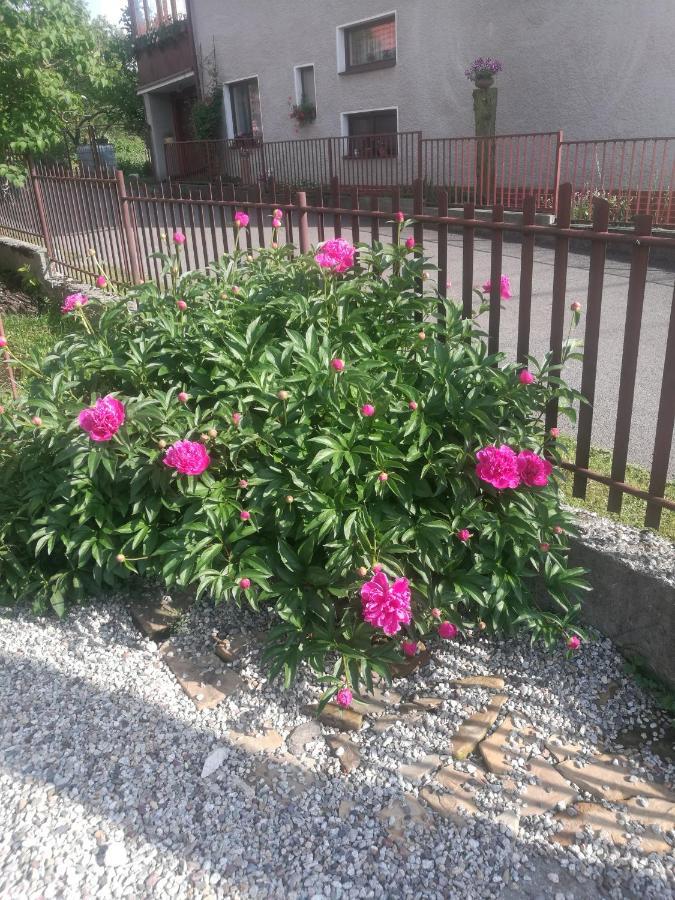 Ferienwohnung Drevenica Zapadne Tatry S Kupacou Kadou A Krbom Žiar Exterior foto
